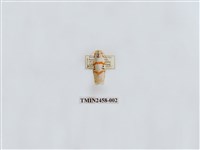 藏品(三斑叉紋苔蛾)的圖片